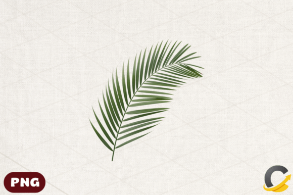 Tropical Leaves Clipart PNG, Summer PNG